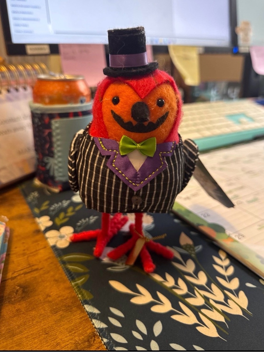 Target Halloween Bird in Black Striped Jacket with Purple Trim